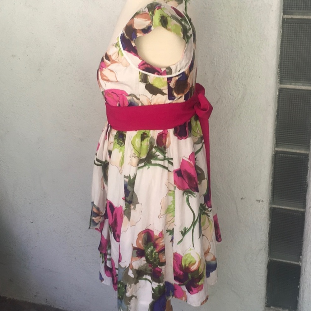 Ted Baker Floral Dress - Picture 5 of 15